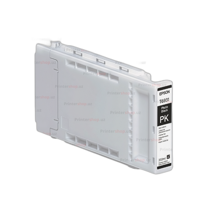 Epson T6931 Photo Black